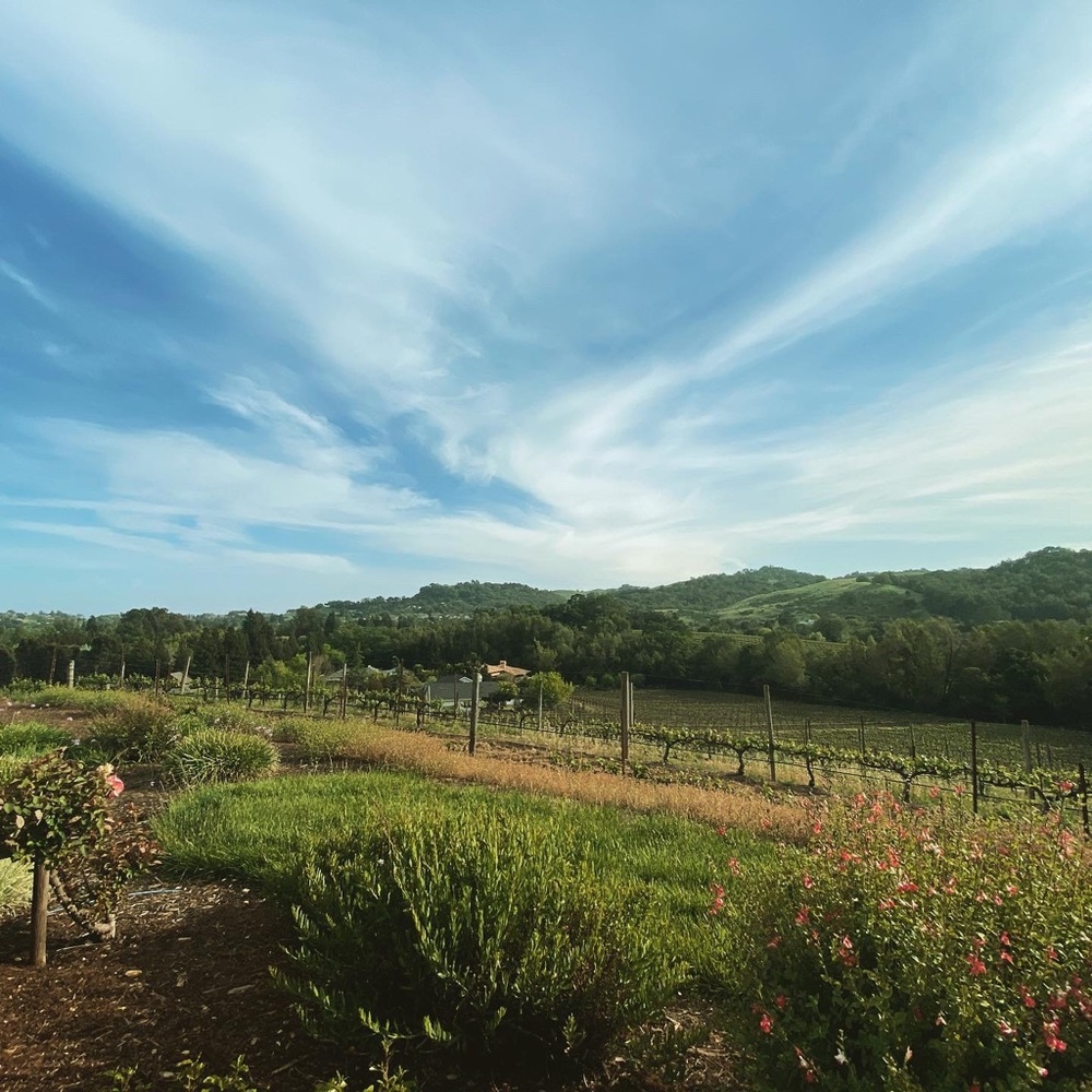 Meet your Posher, Jodie